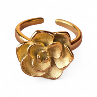 Anillo Florencia (AN-24)
