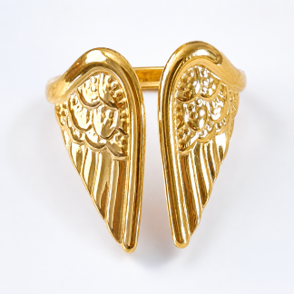Anillo alas de ángel (an-29)